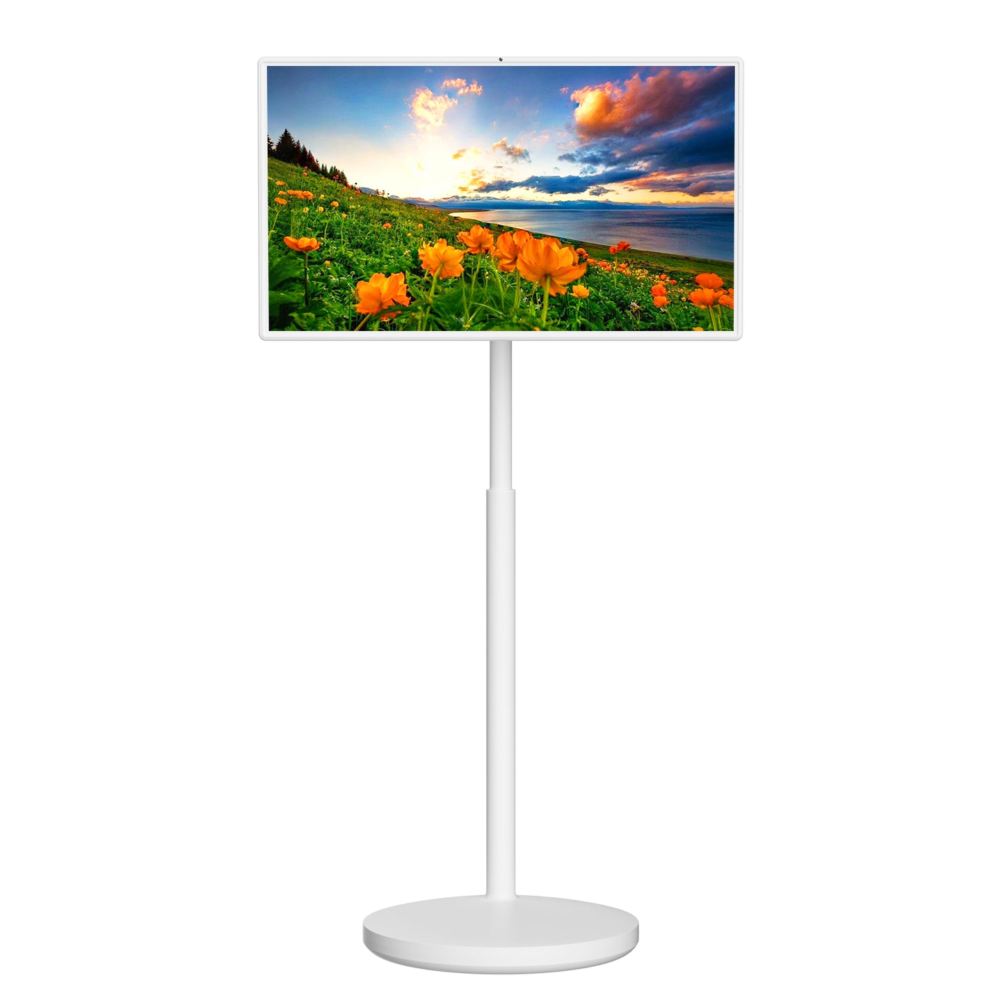 32 Inch Rolling Smart Screen